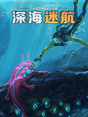 哪里买品牌鞋便宜